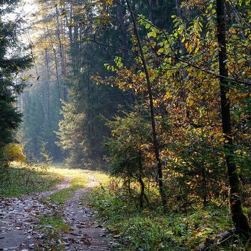 Photo #4348928