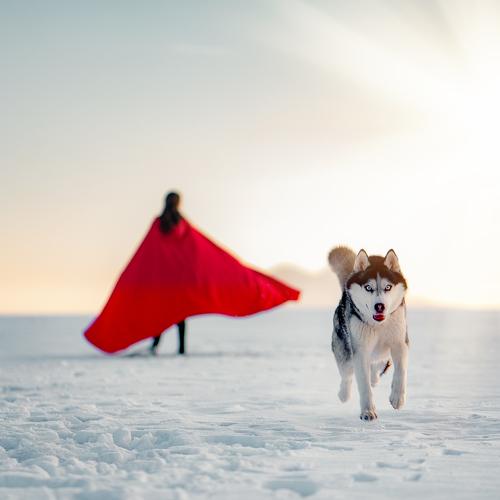 Photo #4349089