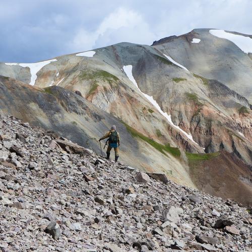 Photo #4349265