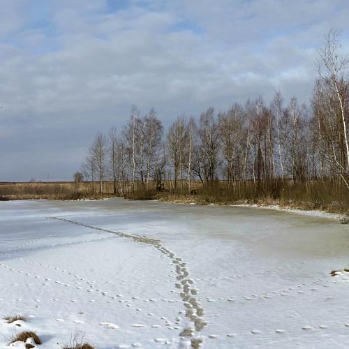 Photo #4349369