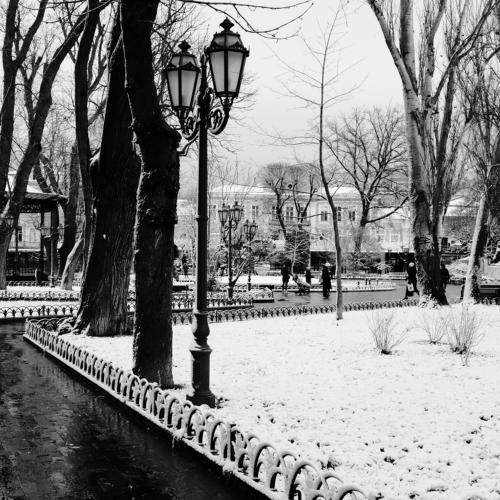 Photo #4349508