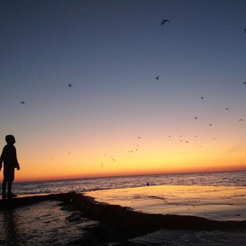Photo #4349678