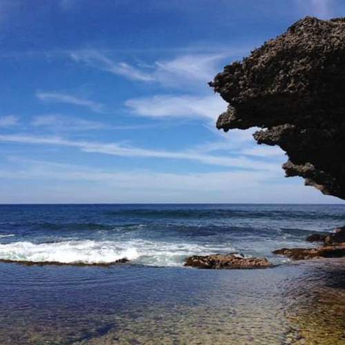 Photo #4349887