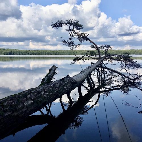 Photo #4350093