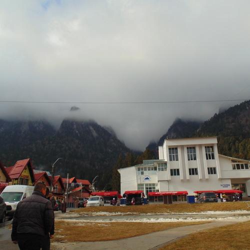 Photo #4350183