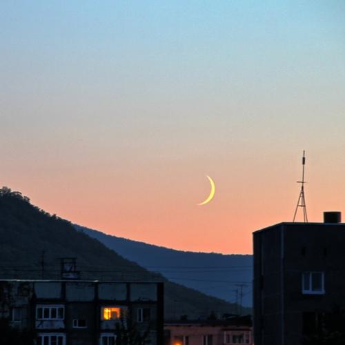 Photo #4350209