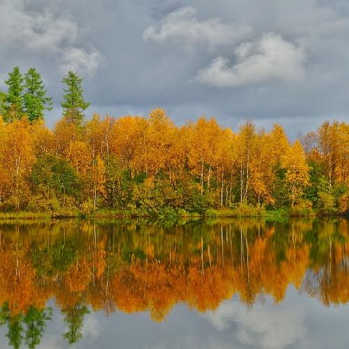 Photo #4350809