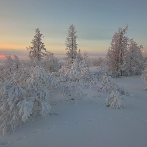 Photo #4350822
