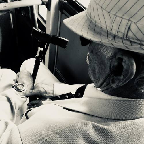 Photo #4351210