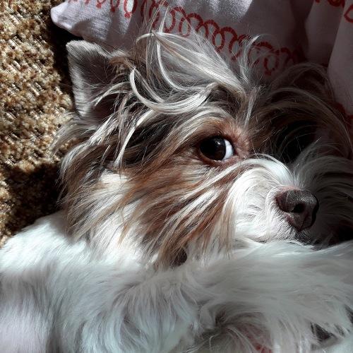Photo #4351219