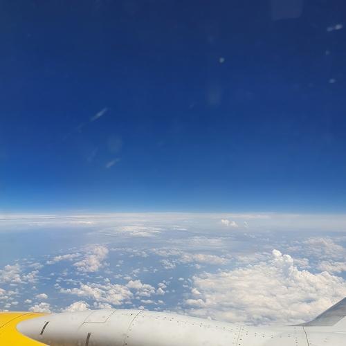 Photo #4351466