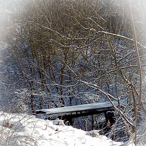Photo #4351540