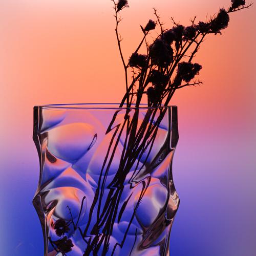 Photo #4351561