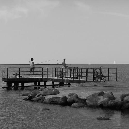 Photo #4351620