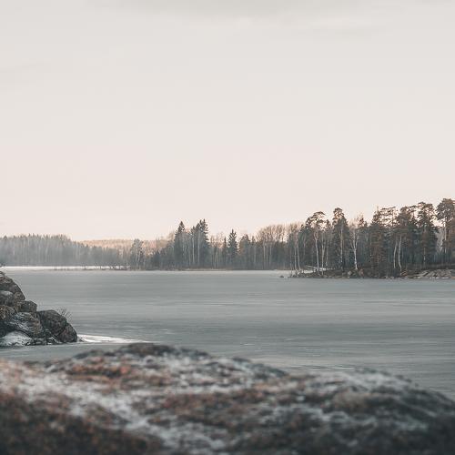 Photo #4351626