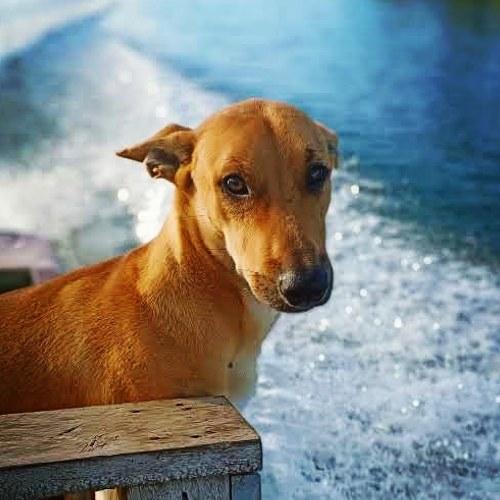 Photo #4351798