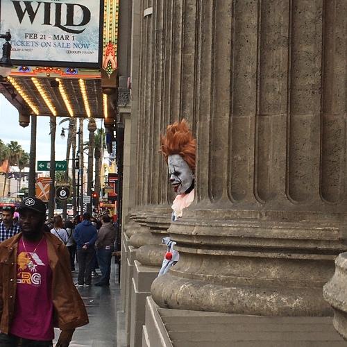 Photo #4351812