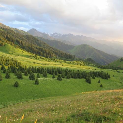 Photo #4351882
