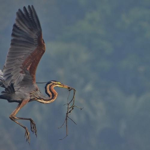 Photo #4351901