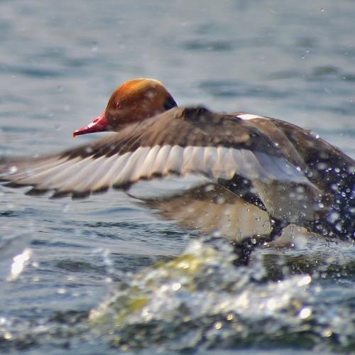 Photo #4351905