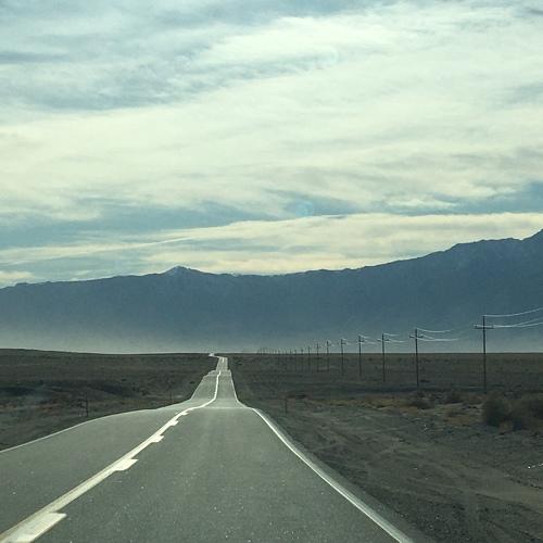 Photo #4352045
