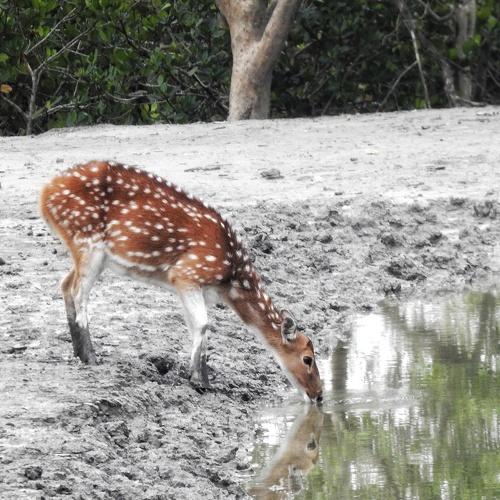 Photo #4352083