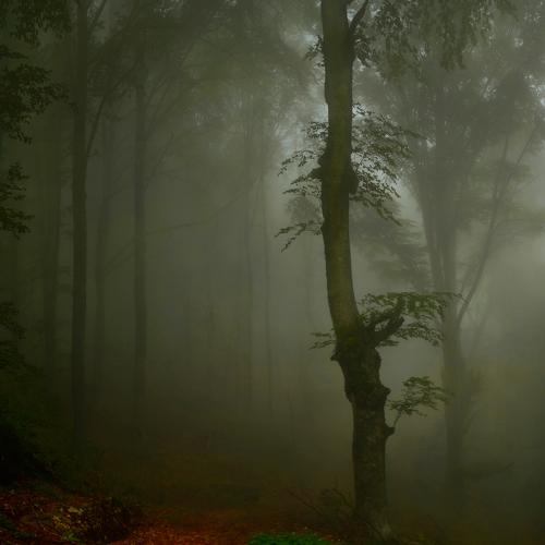 Photo #4352536