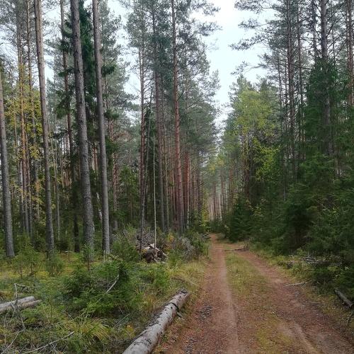 Photo #4352625