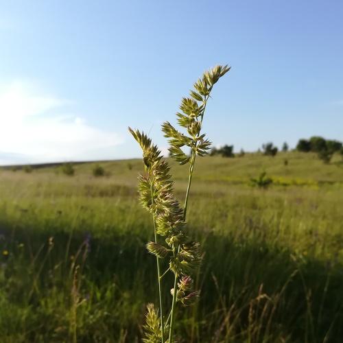 Photo #4352842