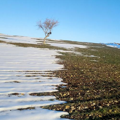 Photo #4353068