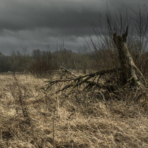 Photo #4353347