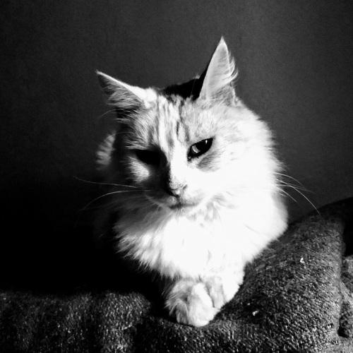 Pini posing for a photo
