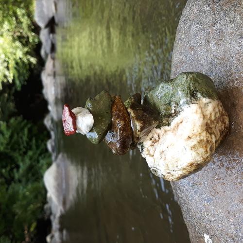 Photo #4353780