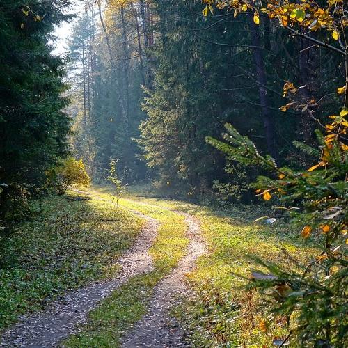 Photo #4354836