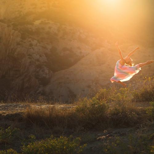 Photo #4354956