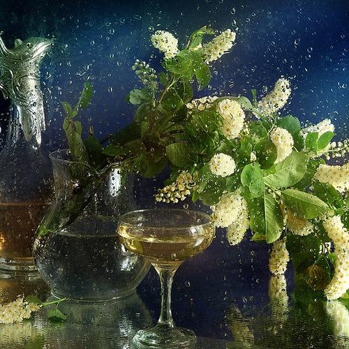 Photo #4354997