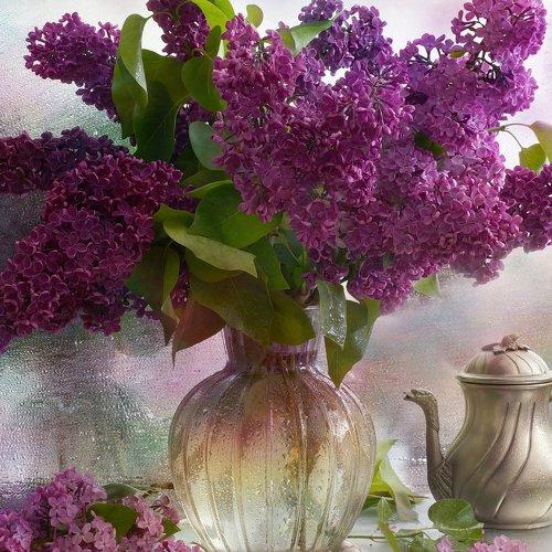 Photo #4355011