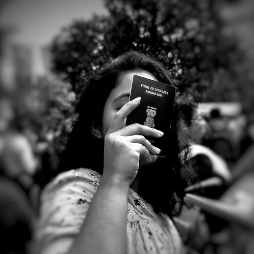 Photo #4355015
