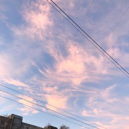 Photo #4355060