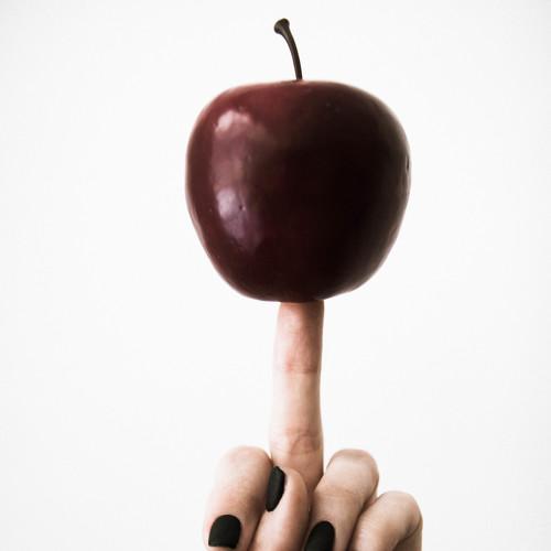 Photo #4355652
