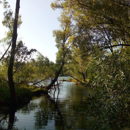 Photo #4355748
