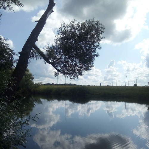 Photo #4355750