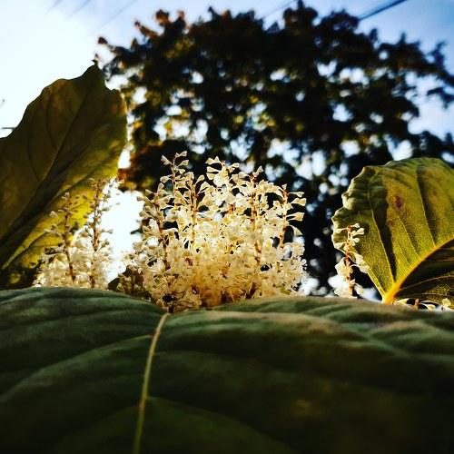 Photo #4355917