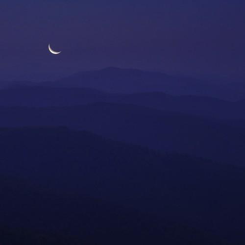Photo #4355953