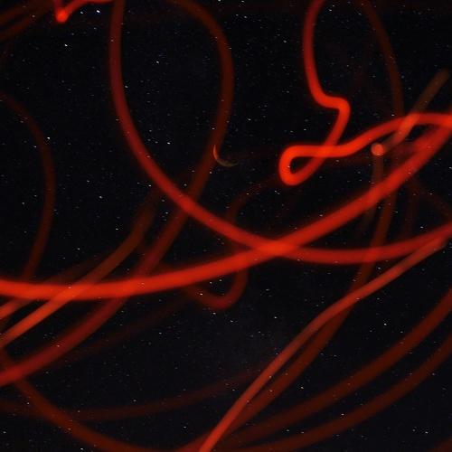 Photo #4355964
