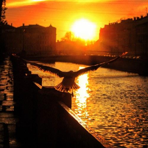 Photo #4356318
