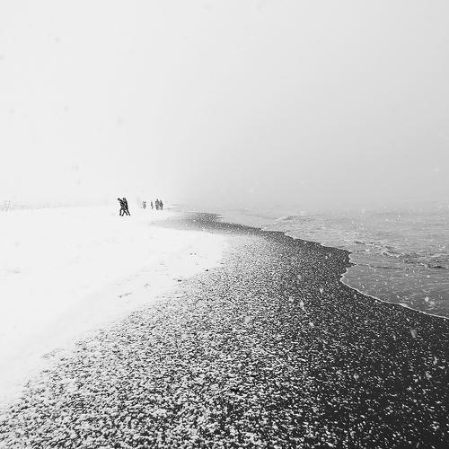 Фотография #4356482