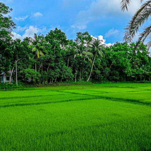 Beautyfull Nature