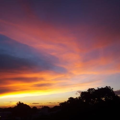 Photo #4356773