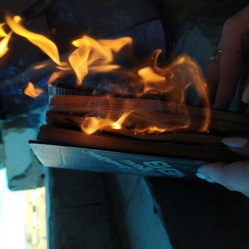 Photo #4356937